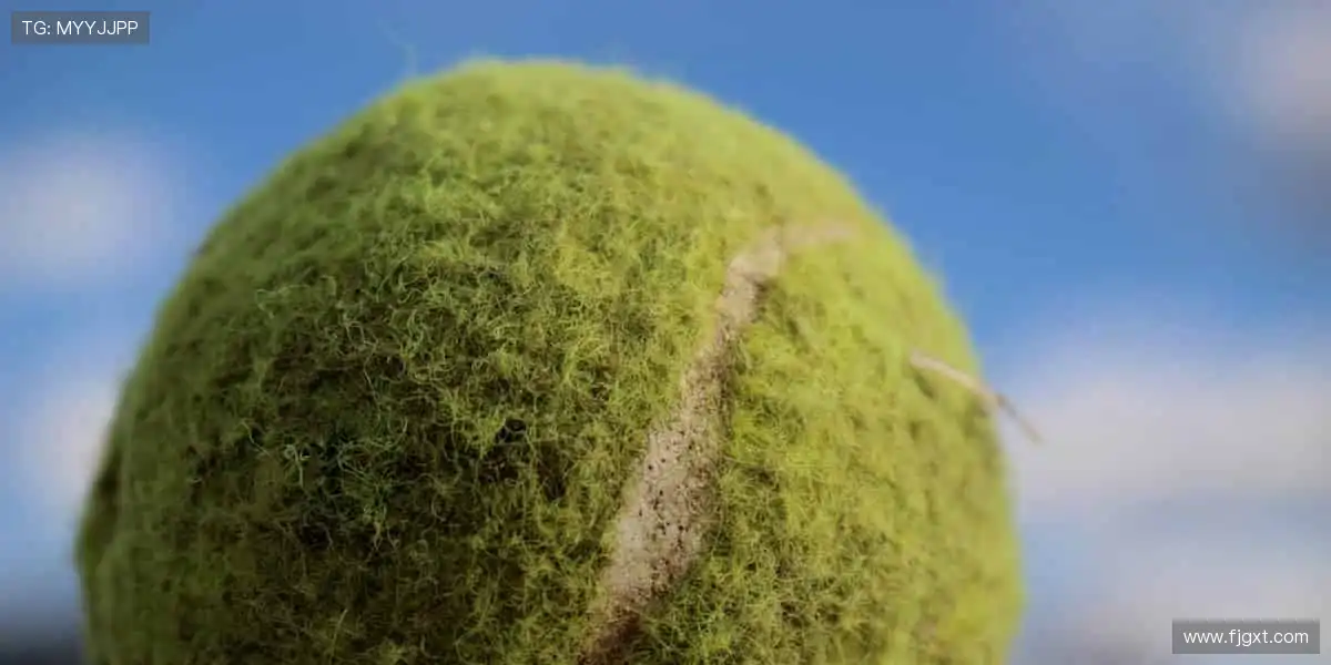 💻实时互动,与千万球迷共燃热血!💬